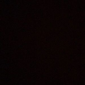 Meet your Posher, Allie